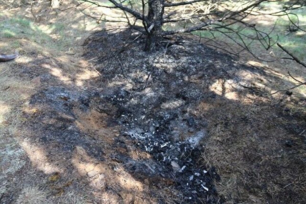 İl Emniyet Müdürlüğü Asayiş Şubesine bağlı Cinayet Büro Amirliği ekiplerinin çalışması sonucu cinayet şüphelisi olduğu tespit edilen İ.G. yakalandı.