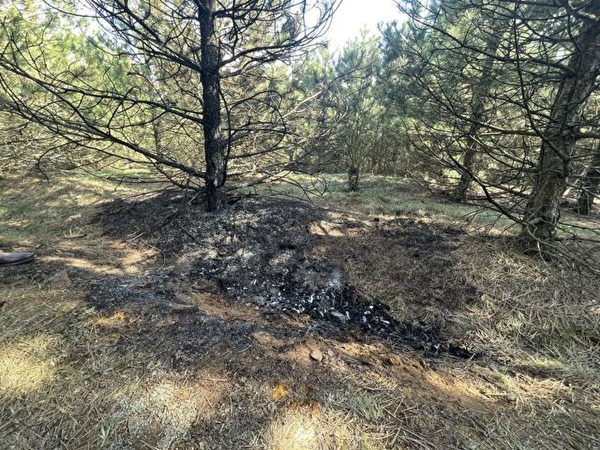 Arama çalışmalarının ekiplerce cansız bedenin bulunduğu bölgede yoğunlaştırıldığını kaydeden Solak, şöyle konuştu:<br><br>"Polis ekipleriyle bölgeye geldik. Birkaç yere baktık. O günlerde karlıydı. Ormanlık alanda girecekleri en müsait yer buraydı. Arama esnasında ikiye ayrıldık. Yakınlarda kadının kolyesini ve anahtarını bulduk. Biraz ileri gidince cesedi bulduk. Ceset yanmıştı. Sadece başının arka kısmındaki saçları duruyordu. Yüz üstü yatmış vaziyetteydi. Cinayeti işleyen de belli, biliniyor."