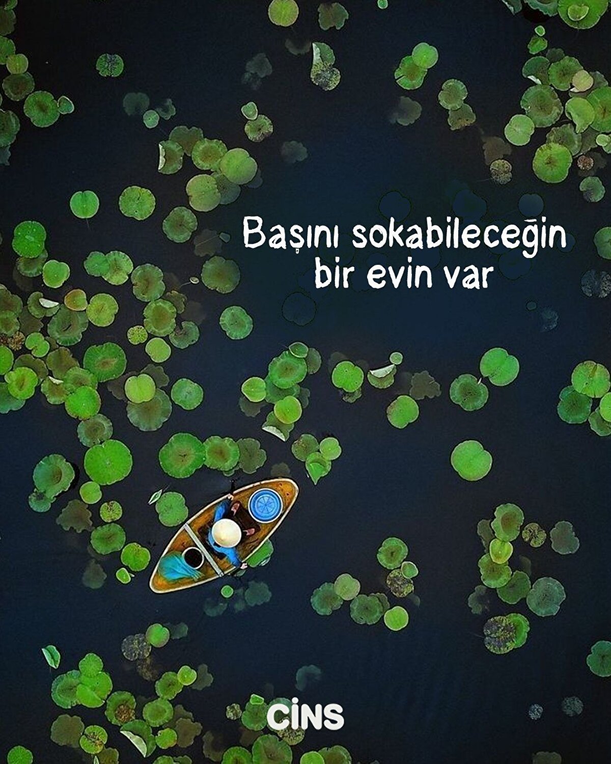 Başını sokabileceğin bir evin var 