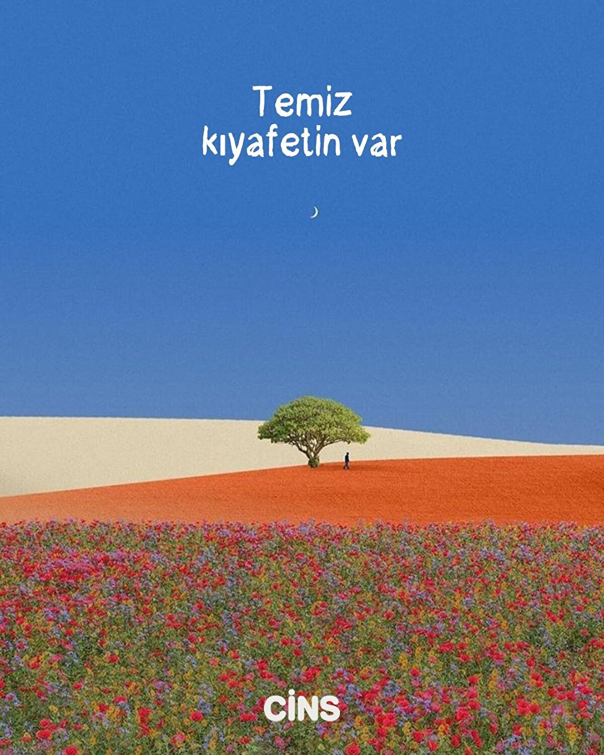 Temiz kıyafetin var