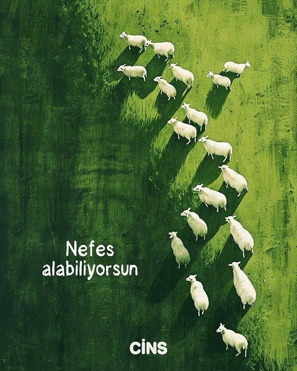 Nefes alabiliyorsun