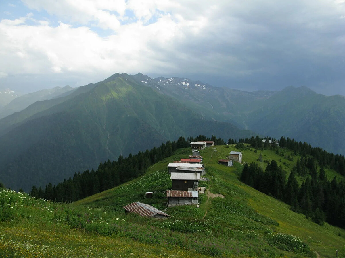 3. Rize
