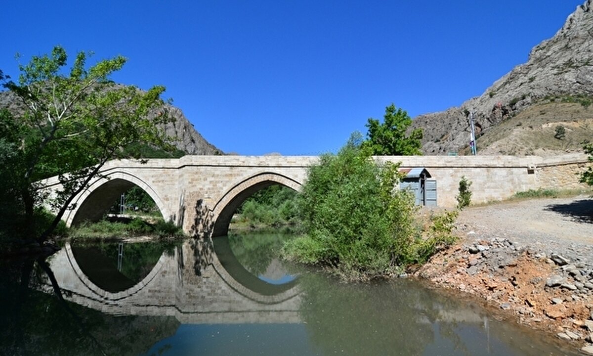 Arapgir, MALATYA<br><br>En fazla tarihi eseri tescilli ilçeler arasında yer alan ve doğa güzellikleriyle yerli ve yabancı turistleri mıknatıs gibi çeken Malatya’nın Arapgir ilçesinin, bu üyeliğe kabul edilmesi memnunlukla karşılandı. Arapgir, Türkiye'nin Doğu Anadolu bölgesinde bulunan Malatya ilinin yaklaşık 11.000 nüfuslu bir ilçesi. Arapgir ilçesi, batısında Malatya'nın Arguvan ilçesiyle birlikte doğusunda Elazığ'ın Ağın ve Keban, kuzeyinde de Erzincan'ın Kemaliye ve Sivas'ın Divriği ilçeleriyle de komşu. Arapgir'in il merkezine olan uzaklığı ise yaklaşık 120 km.