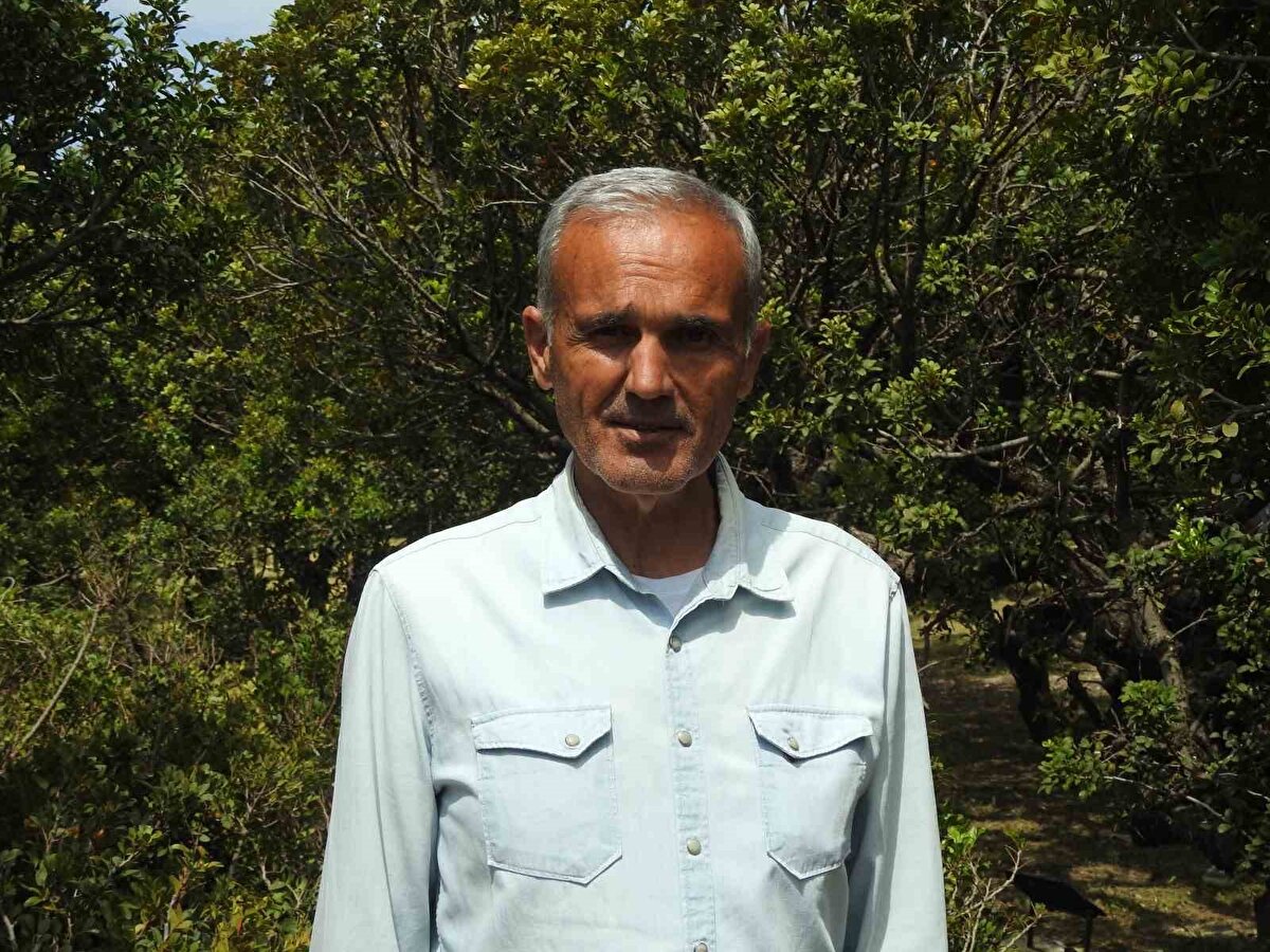 Gıda ve kozmetik başta olmak üzere birçok alanda kullanılan bu ürün artık Çeşme’de yeniden hayat buluyor. Sakız ağacı üreticiliğinin günden güne artmakta olduğunu vurgulayan üretici Hasan Ege Tütüncüoğlu (55), "Damla sakızı artık Çeşme’nin coğrafi işaretli bir ürünü. Yaklaşık bir yıldır süren uzun çalışmalar sonucunda alınan coğrafi işaretle birlikte, Çeşme’nin ikinci coğrafi işaretli ürünü oldu. Cumhuriyet döneminde tamamen ortadan kalkan sakız ağaçları, sayıları bine kadar düşmüşken şimdi tekrar canlandı" ifadelerini kullandı.