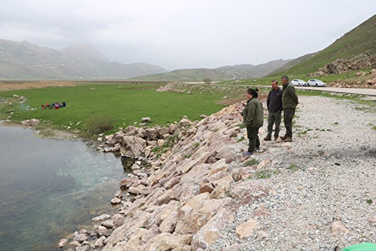 Hiçbir zararı yok<br><br>Yürekli köyünde yaşayan 40 yaşındaki Haşim Kartal, her yıl mayıs aylarında yılanların çiftleştiklerini söyledi.<br><br>