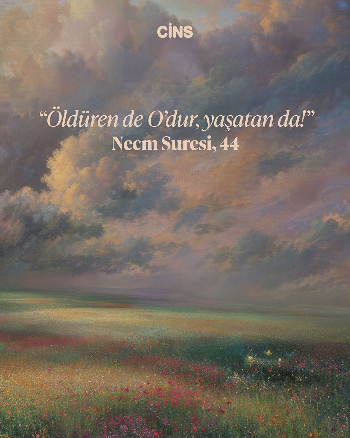 "Öldüren de O'dur, yaşatan da!"

Necm Suresi, 44