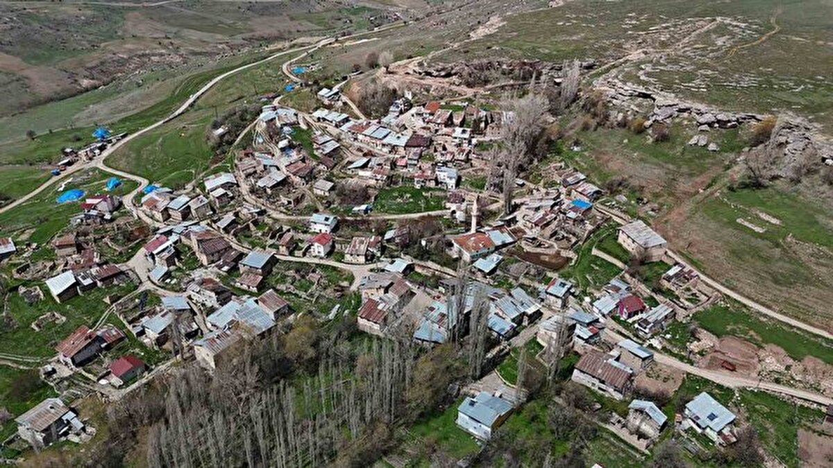 Akrabaları ve komşularına özenen gençler, Tıp Fakültesini bitirerek doktor oluyor. Kolluca köyünün bu özelliğini duyanlar, ‘Bu köyün suyunu içen doktor oluyor' diyerek köyü ziyaret ediyor. köyde bulunan çeşmeden su içen vatandaşlar, çocuklarına ve akrabalarına su götürüyor.