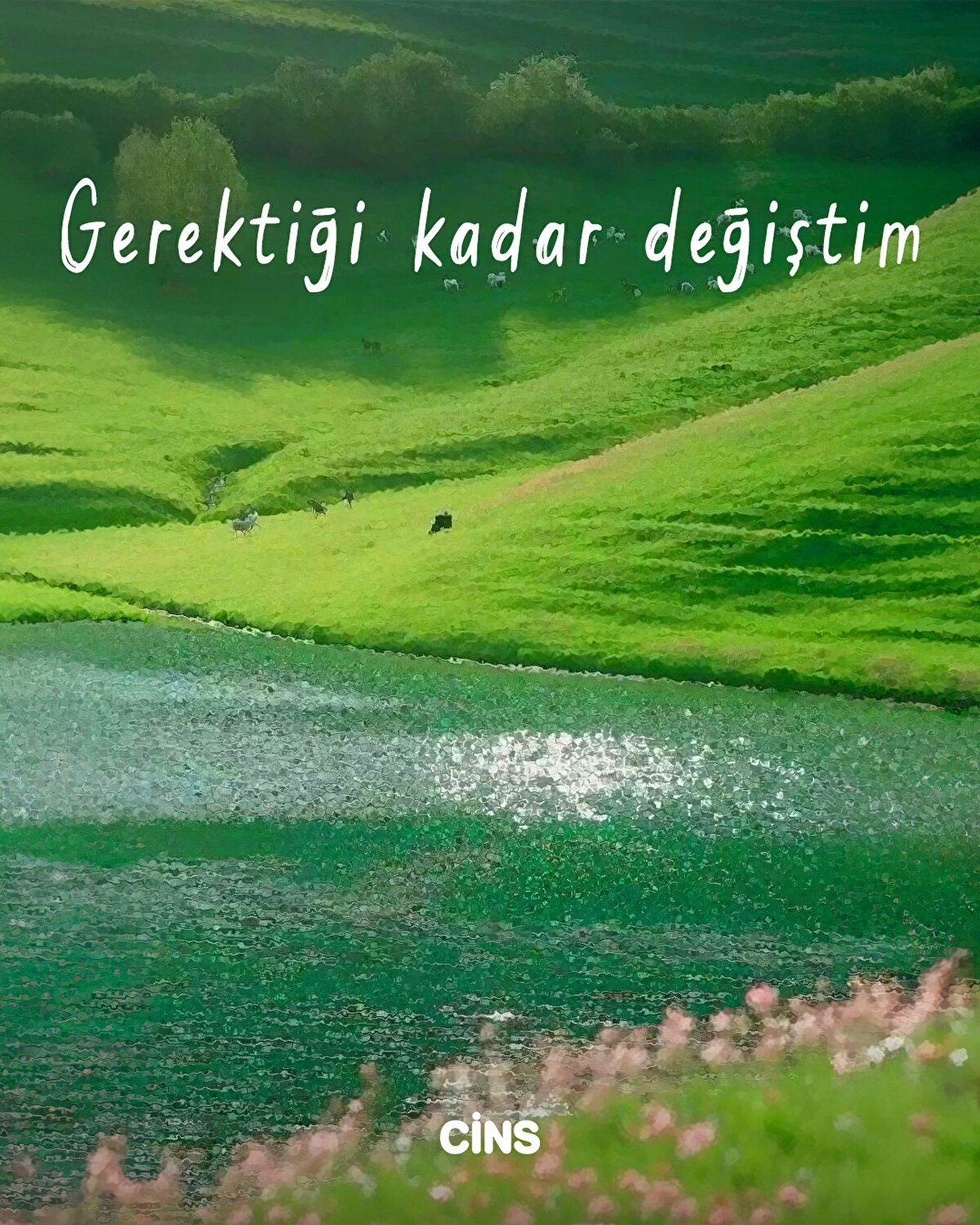 Gerektiği kadar değiştim