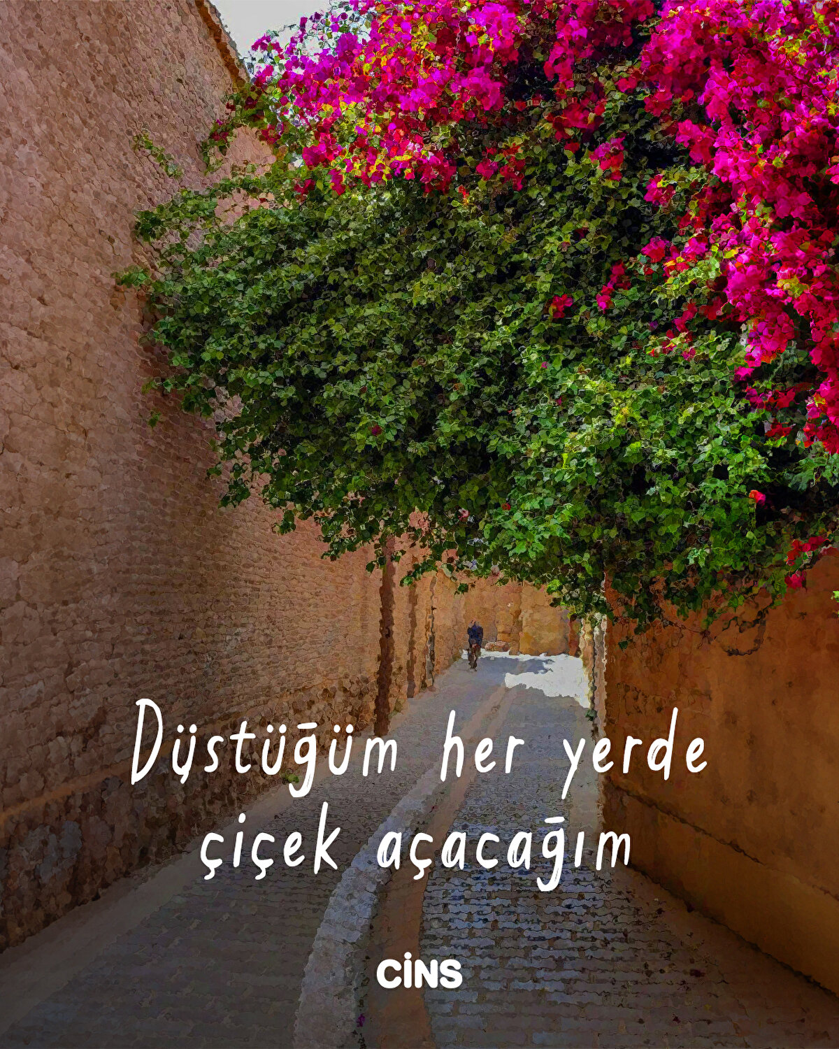 Düştüğüm her yerde çiçek açacağım