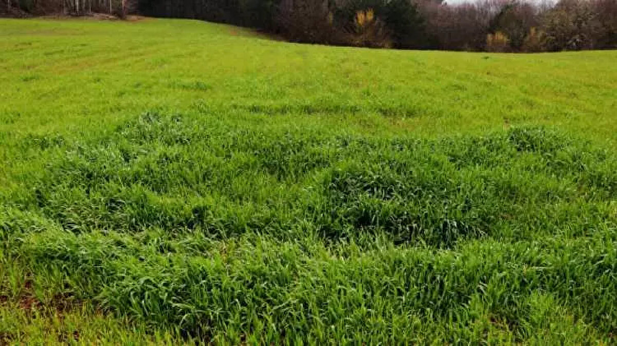 TOKİ 43 İLDE 383 ARSA SATIŞI ÖDEME PLANI<br><br> <br><br>Alıcılar istedikleri arsaya yüzde 25 peşin ve 24 ay vade ödeme planı ile sahip olabilecek.