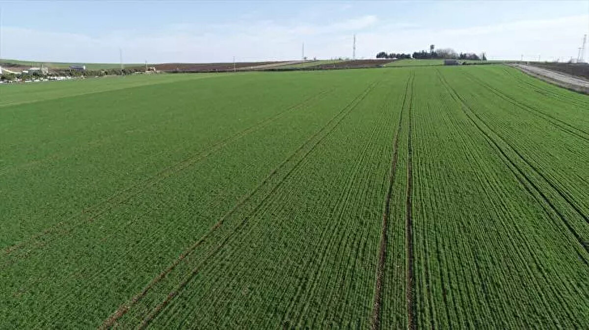 TOKİ ARSA SATIŞI MÜZAYEDESİ İÇİN ÖDENMESİ GEREKEN TEMİNAT TUTARI NE KADAR?<br><br> <br><br>Açık artırma toplantısına katılacak olan gerçek veya tüzel kişiler katılım teminatı olarak toplantı öncesinde;<br><br> <br><br>Muhammen Bedeli 150.000 TL ye kadar olan gayrimenkuller için 7.000 TL,<br><br> <br><br>