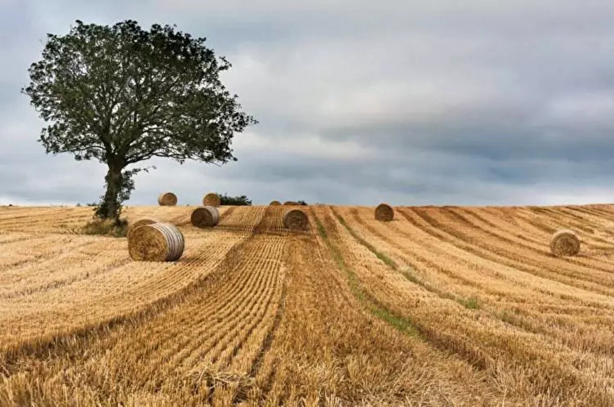 Muhammen Bedeli 150.001 TL ile 1.000.000 TL’ye kadar olan gayrimenkuller için 45.000 TL,<br><br> <br><br>Muhammen Bedeli 1.000.001 TL ile 6.000.000 TL’ye kadar olan gayrimenkuller için 245.000 TL,<br><br>