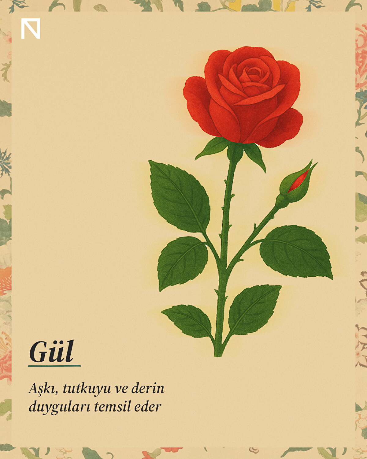 Aşkı, tutkuyu ve derin duyguları temsil eder