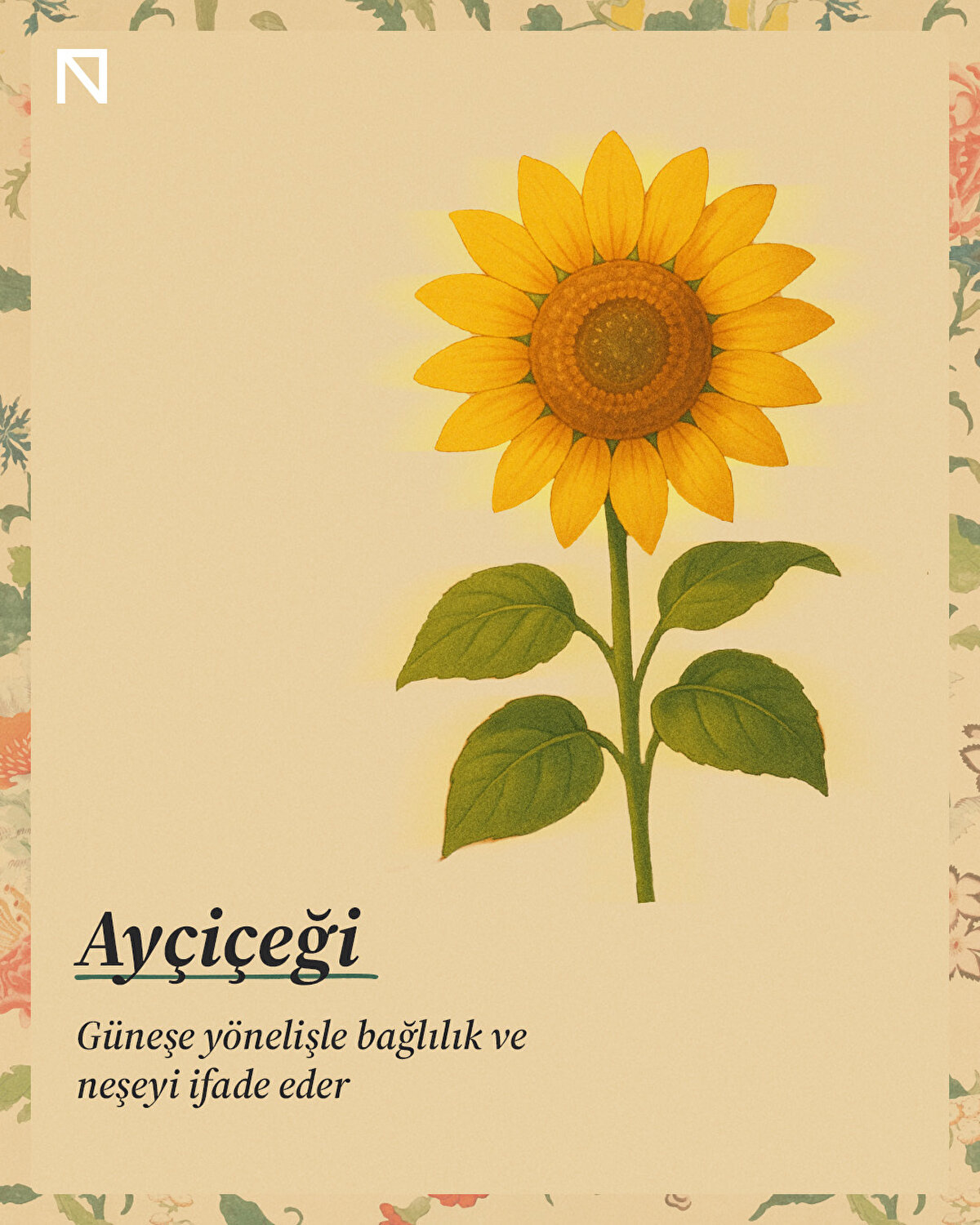 Güneşe yönelişle bağlılık ve neşeyi ifade eder