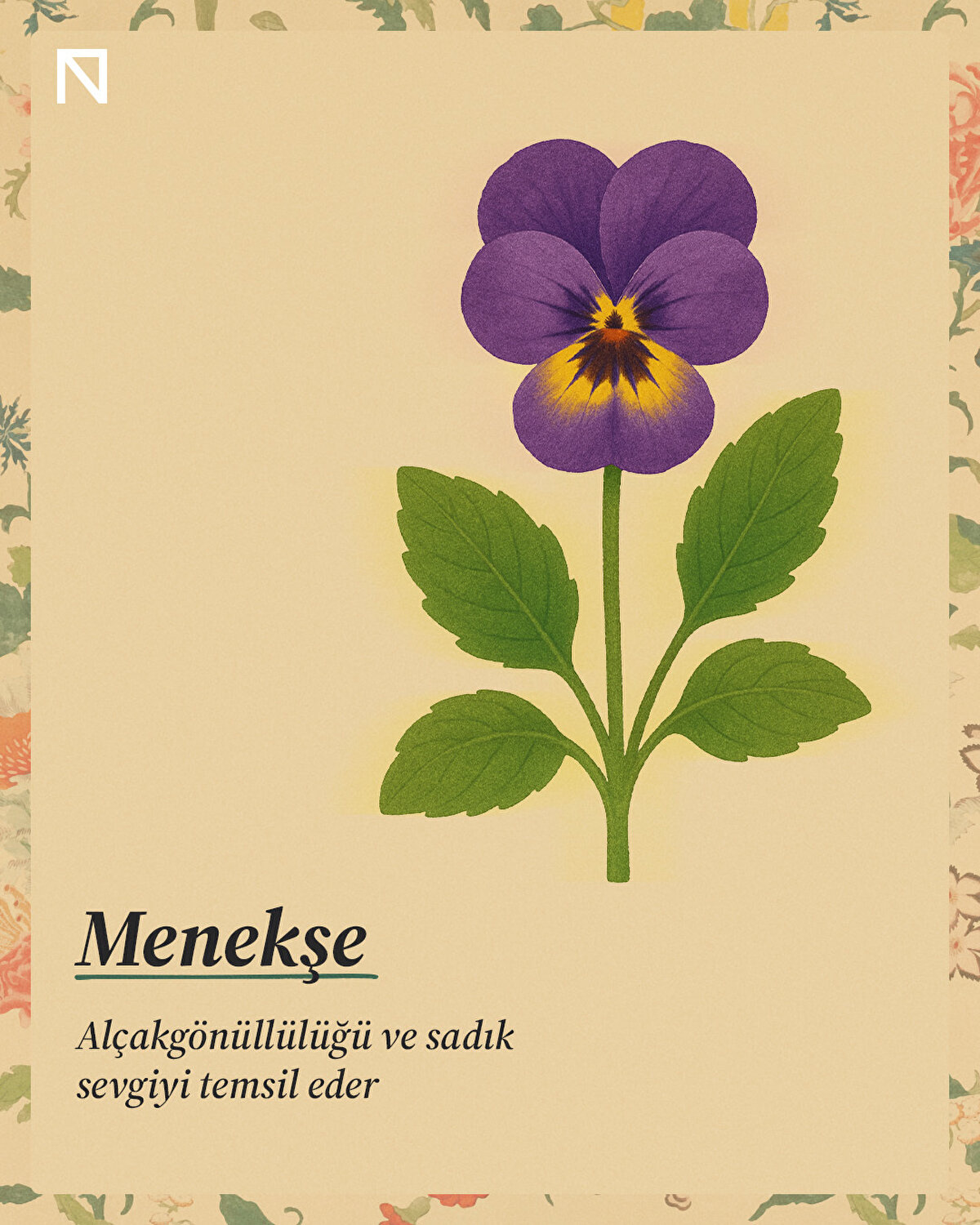 Alçakgönüllülüğü ve sadık sevgiyi temsil eder