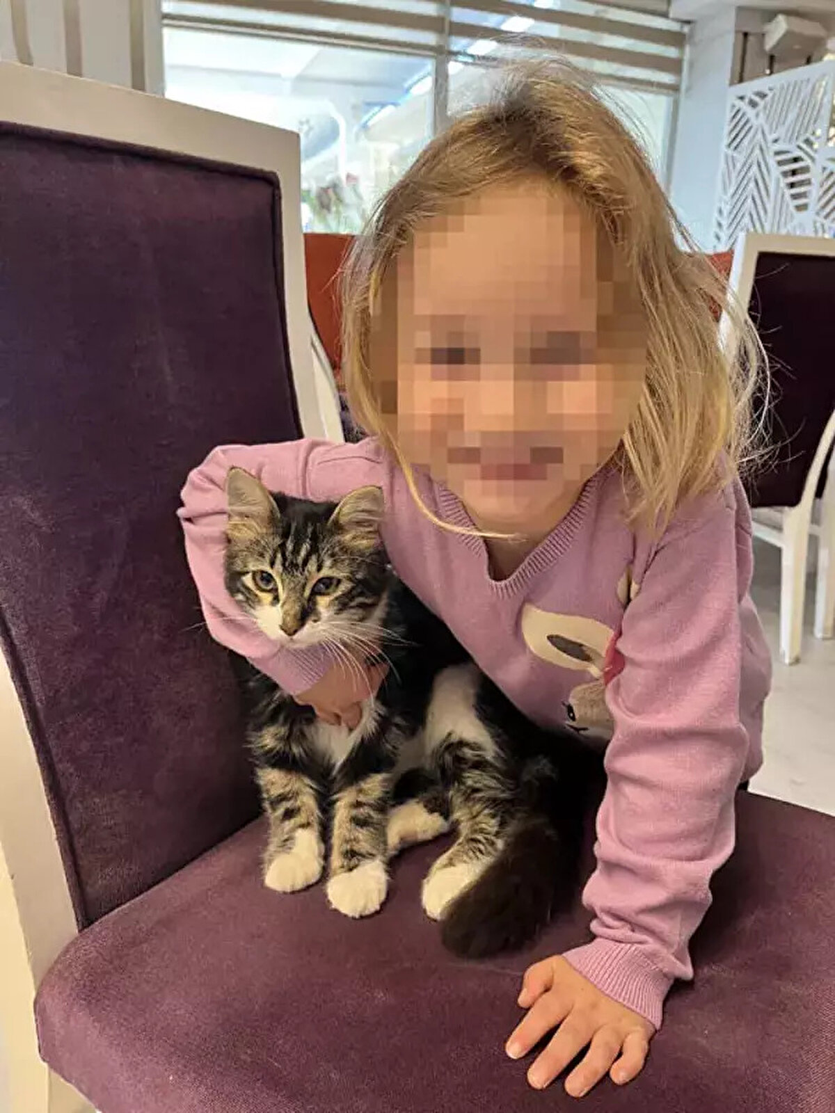 Nazlı Zeynep A. ve B.C.A., 2021 yılında ayrılarak, karşılıklı boşanma davası açtı. Boşanma davası sürerken, mahkeme önce çiftin çocukları S.D.A.'nın geçici velayetini anne Nazlı Zeynep A.'ya, sonra da baba B.C.A.'ya verdi. Fethiye 1'inci Aile Mahkemesi, son olarak 6 Şubat'ta S.D.A.'nın geçici velayetini annesine verirken, baba B.C.A.'nın ayda 2 kez kızını sosyal hizmetler ve emniyet görevlileri gözetiminde görebileceği yönünde hüküm kurdu.