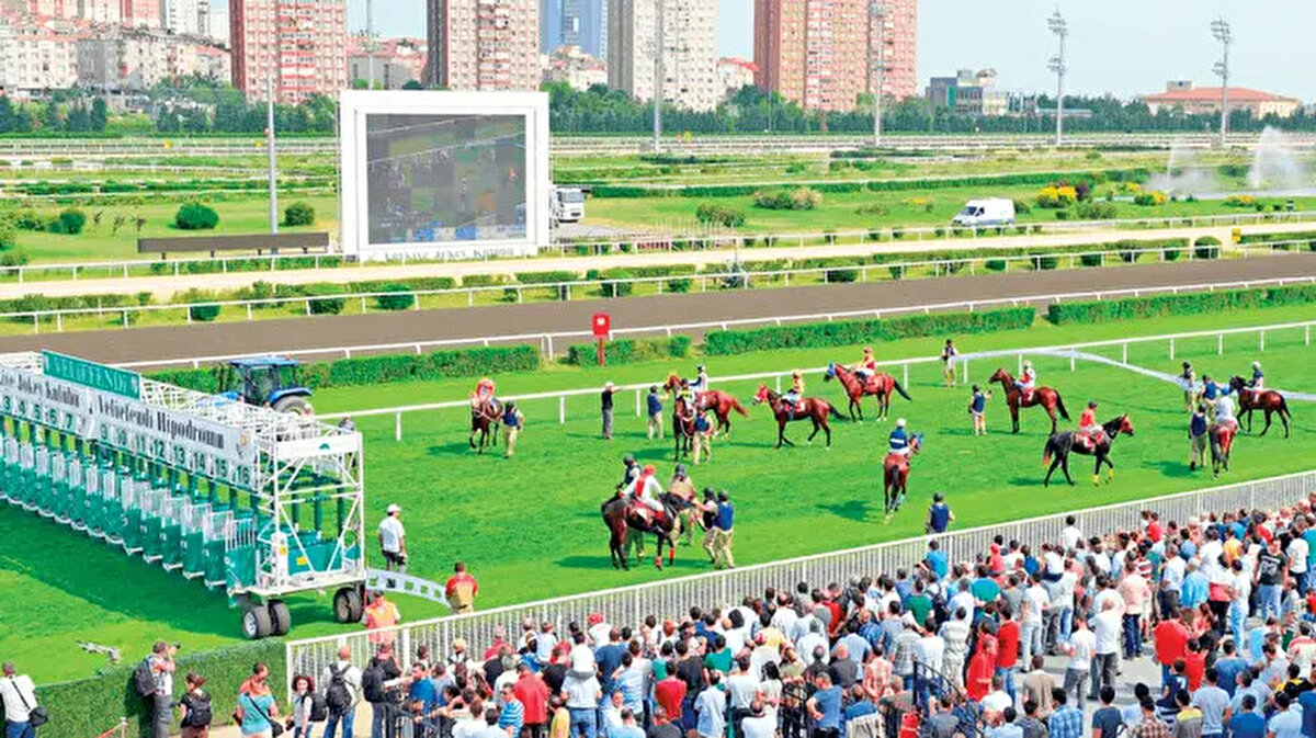 Galata'da değirmen arsası, Kabataş Meydanı, Horhor'da konak ve 5 dönüm arsası, Beşiktaş Serencebey'de 2 dönüm bağ, Aydın, Antakya, Kilis'te çok sayıda çiftlik ve arazi.