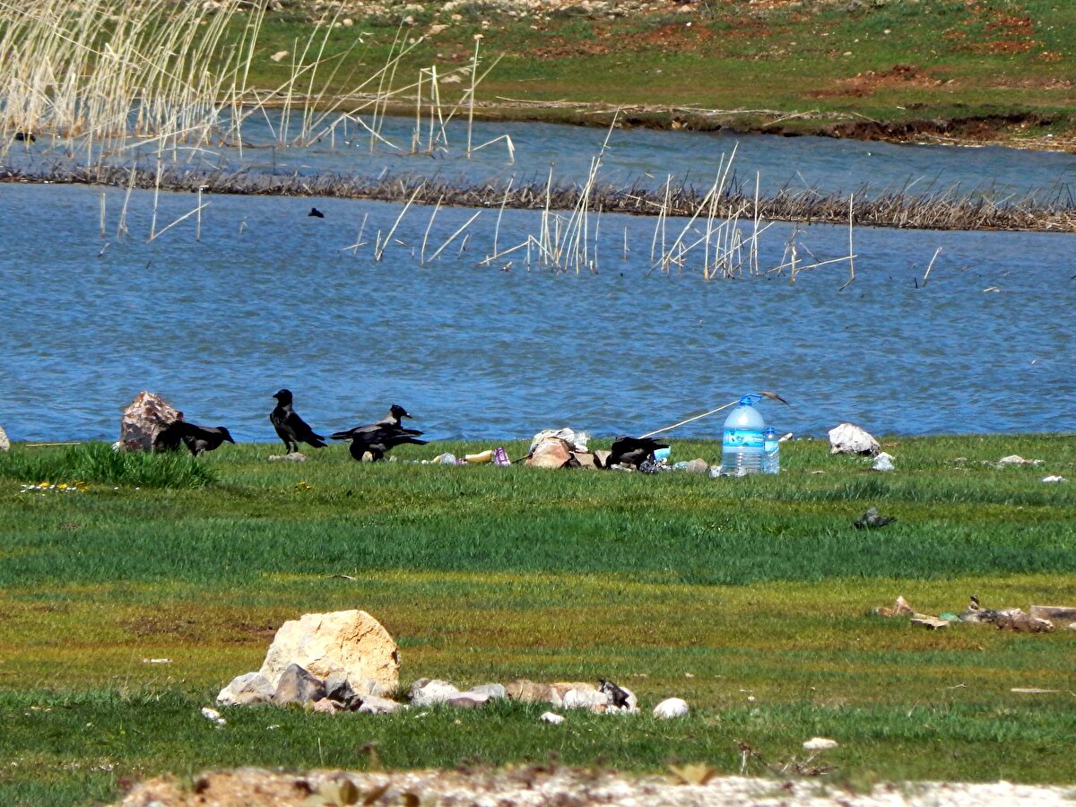 "Hem kar yok, hem çiçekler açmamış"<br><br>Her yıl Eğrigöl'e yürüyüş yapan doğa gezgini ve dağcı Hasan Hüseyin Kahrıman, dağ laleleri, mor ve sarı çiğdemlerle süslenen Eğrigöl'de üzücü görüntülerle karşılaştığını anlattı. Kahrıman, göl çevresinde hiç çiçek olmadığını, dağlardaki kar miktarının da yok denecek kadar olduğunu belirterek, "Normalde bu mevsimde yaylaya giden araç yolları karla kapalı olurdu...