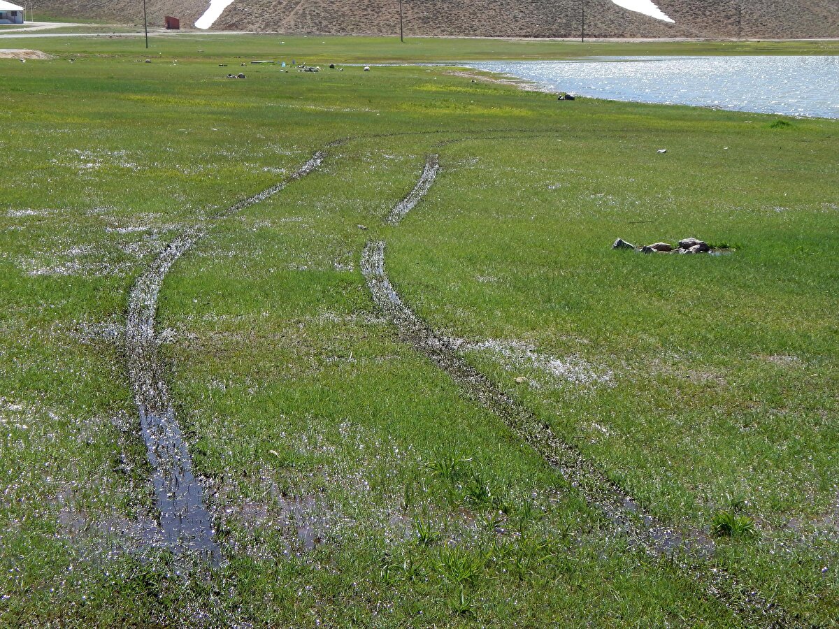 ...Gündoğmuş Belediyesi ve Hadim Belediyesi yaylayı süsleyen rengarenk çiçeklerin zarar görmemesi için karla kapalı yolları mayıs ayı sonuna kadar açmazdı. Bu yüzden sadece fotoğrafçılar ve doğa yürüyüşçüleri 22 kilometre yürüyüp buraya ulaşabiliyordu. Ama bu sene hem kar yok hem de çiçekler maalesef açmamış" dedi.