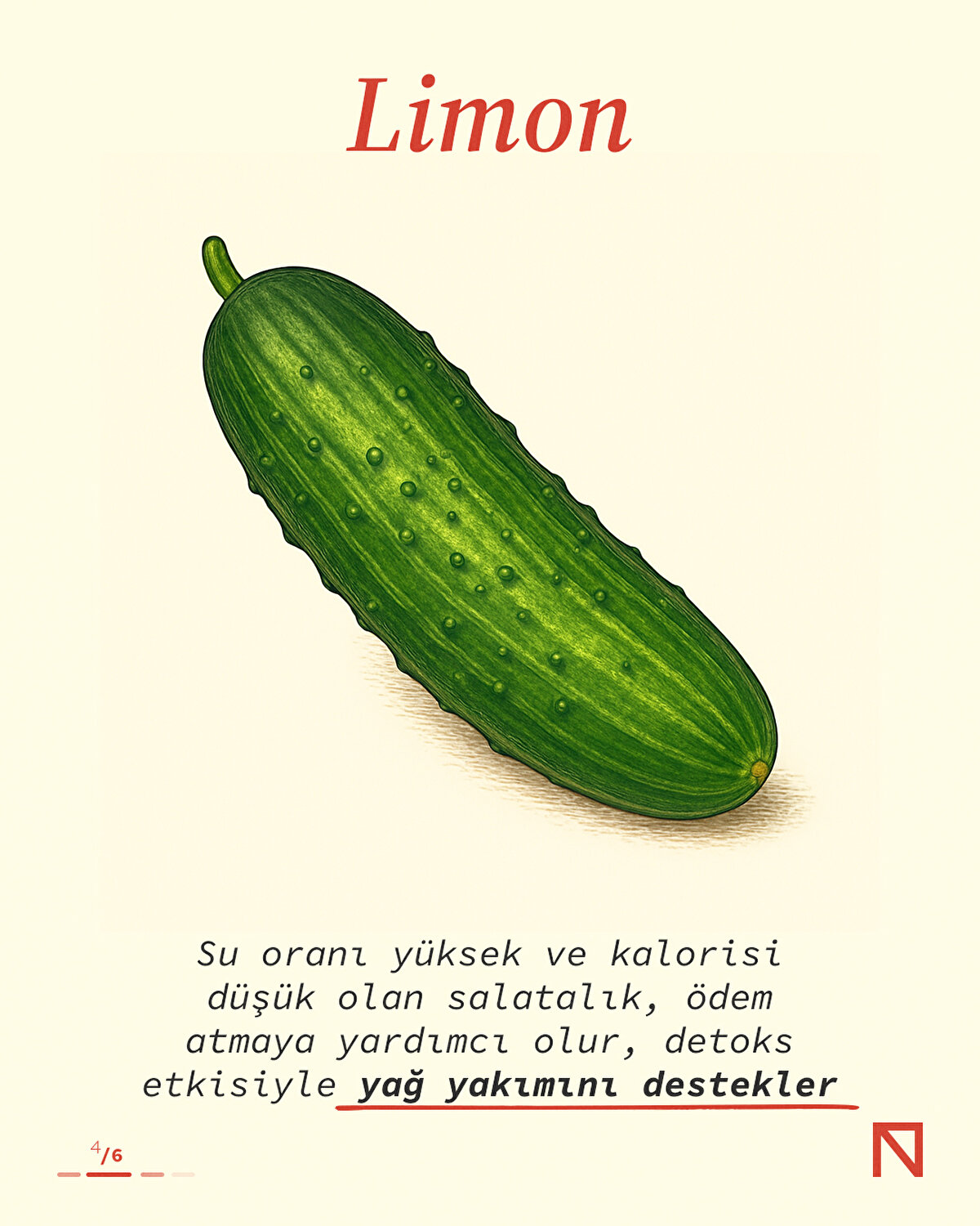 Su oranı yüksek ve kalorisi düşük olan salatalık, ödem atmaya yardımcı olur, detoks etkisiyle yağ yakımını destekler