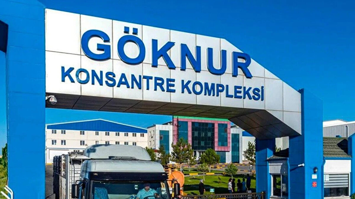 Göknur Gıda Maddeleri Enerji İmalat İthalat İhracat Ticaret ve Sanayi A.Ş. (GOKNR)<br><br>0,3035713 TL, tarih henüz açıklanmadı