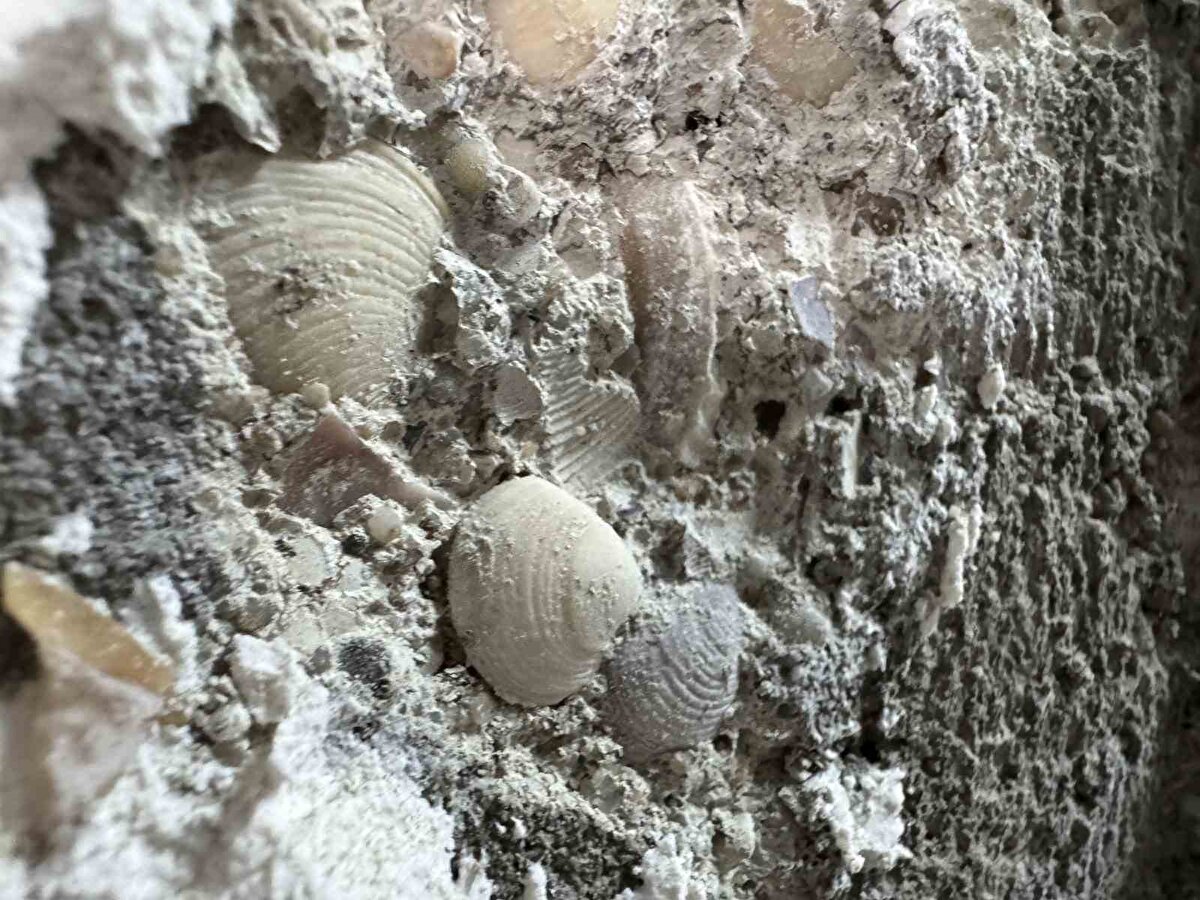 Site sakinlerine 7 gün süre verildi<br><br>Site sakinleri apar topar evlerini terk etti. 10 gündür evlerine giremeyen site sakinlerine eşyalarını çıkarmaları için 7 gün süre tanındı.