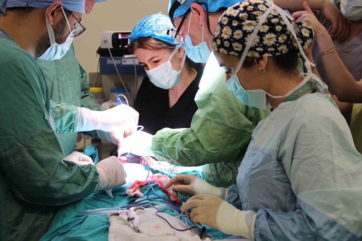 "Tıp literatürüne geçecek bir operasyon"<br><br>Prof. Dr. Aydın, gazetecilere yaptığı açıklamada, Kütahya Şehir Hastanesinde acil koşullarda bir ilkin gerçekleştirildiğini söyledi.<br><br>Bebeğin normal şartlarda yaşama şansının bulunmadığını belirten Aydın, "Acil olarak getirilen 34 haftalık bebek, sezaryen ameliyatına alındı. Bir hafta sonra, 3 kilo 700 gram doğan bebeğin boyun kısmında tümör tespit ettik. Çocuk ilk doğduğunda hava yolları tıkalıydı. Bebek kordonu yeterli uzunluğa sahip olduğu için yaklaşık 12 dakikada bebeğin hava yolunun güvenliği sağlandı." dedi.