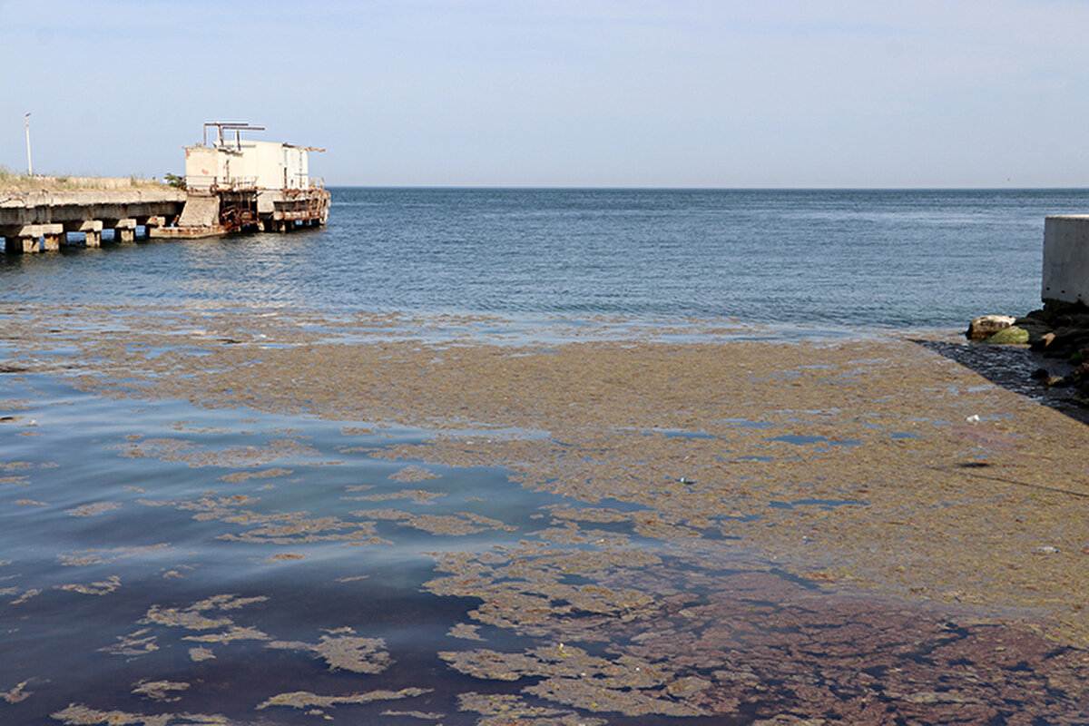 Durumun hava sıcaklıklarında ani artışlarla birlikte kıyılarda gözlemlenen doğal bir süreç olduğunu aktaran Şirin, alg patlamalarının deniz yüzey su sıcaklığının yükselmesine bağlı olarak meydana geldiğini vurguladı.