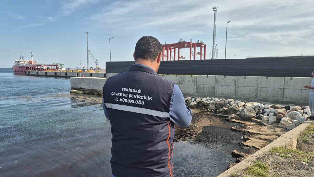 Vatandaşlardan gelen ihbarlar üzerine Çevre, Şehircilik ve İklim Değişikliği İl Müdürlüğü ekipleri bölgede inceleme yaptı.