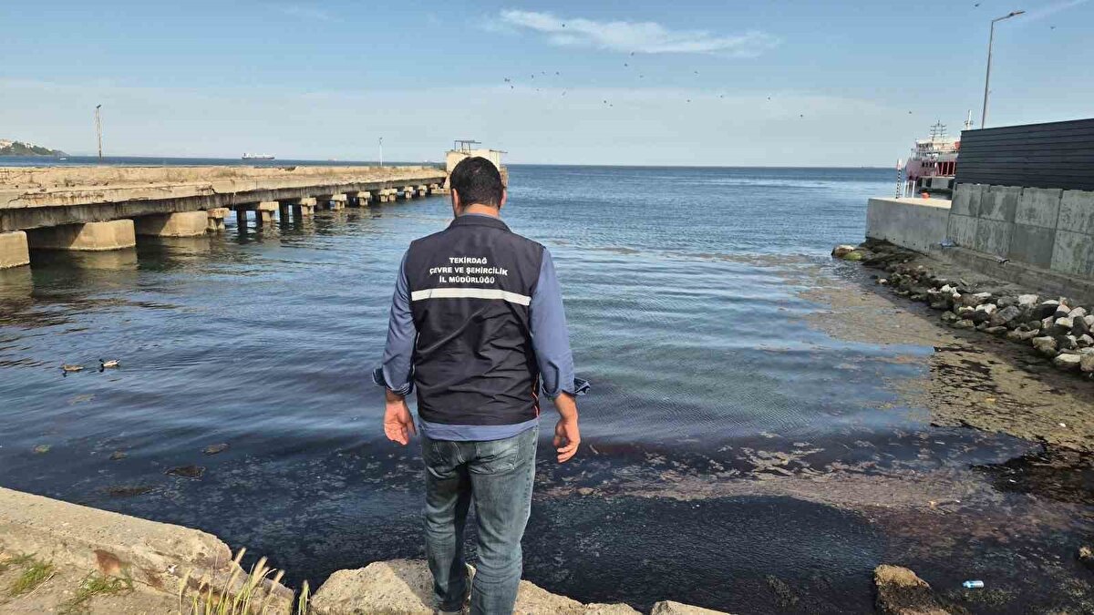 Gözlemlenen renk değişiminin, baskın olan fitoplankton türüne bağlı olarak şekillendiğini anlatan Şirin, "Red-tide olayının yoğun olduğu bölgelerde bazı fitoplankton türlerinin toksin üretmesi ve aşırı oksijen tüketimi, makro faunada yer alan bazı türler üzerinde zararlı etkiler yaratma potansiyeline sahiptir. Ayrıca, bu tür olayların yaşandığı alanlarda insanların denize girmesi sağlık açısından risk oluşturabileceğinden ilgili dönemlerde denize girilmemesi yerinde olacak." diye konuştu.