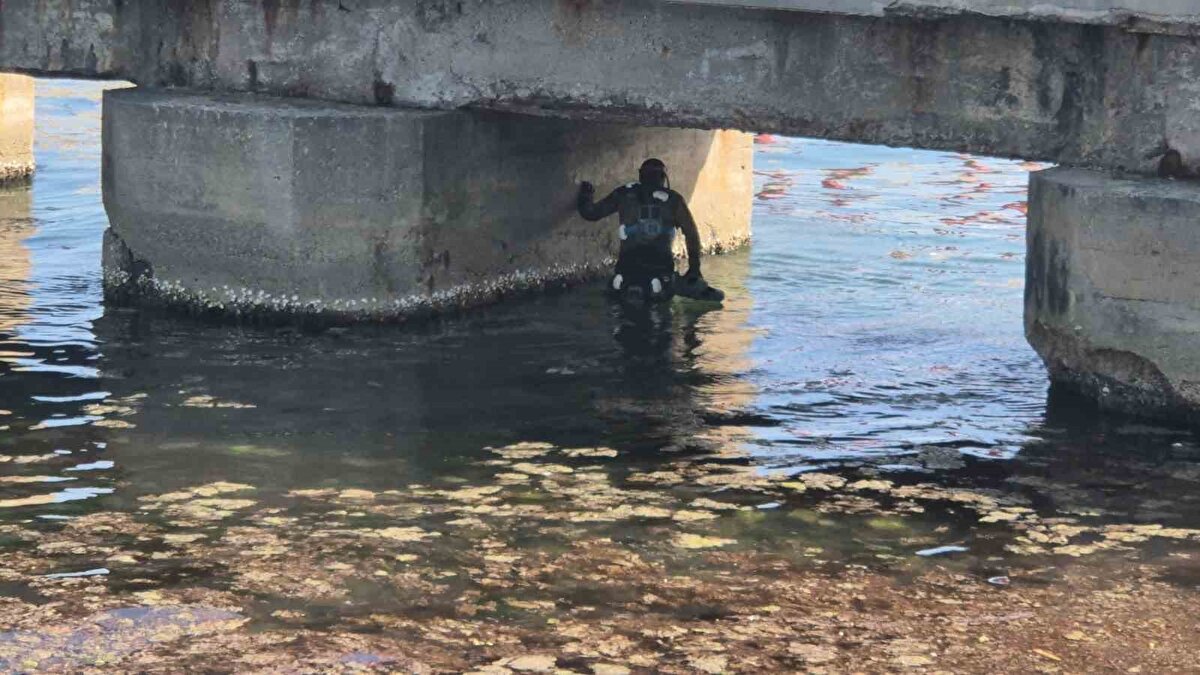 Şirin, Marmara Denizi'nin ekolojik açıdan yoğun stres altında olduğunu kaydetti.