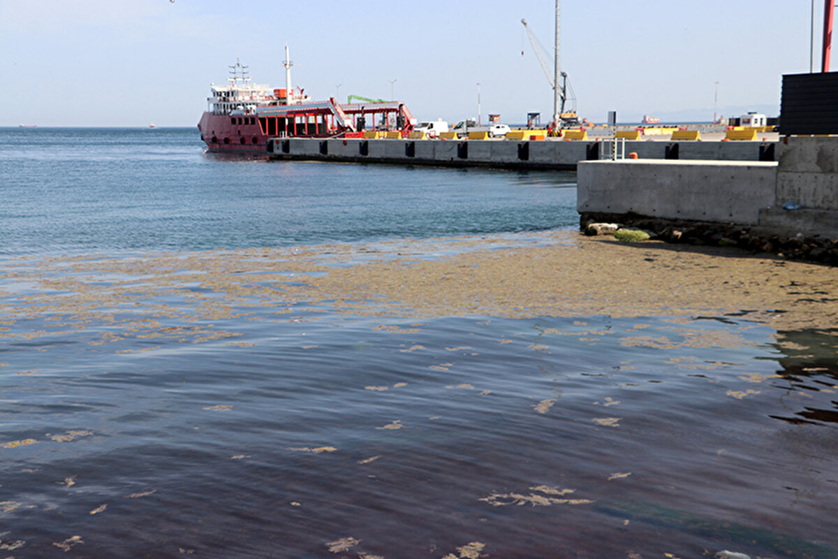 Bu olayın sıklığı ve etkilerinin yıllar içerisinde dalgalı bir seyir izlediğini aktaran Şirin, Marmara Denizi'nin hem küresel iklim değişikliğinin etkisi hem de çeşitli insan kaynaklı baskılara maruz kaldığını belirtti.