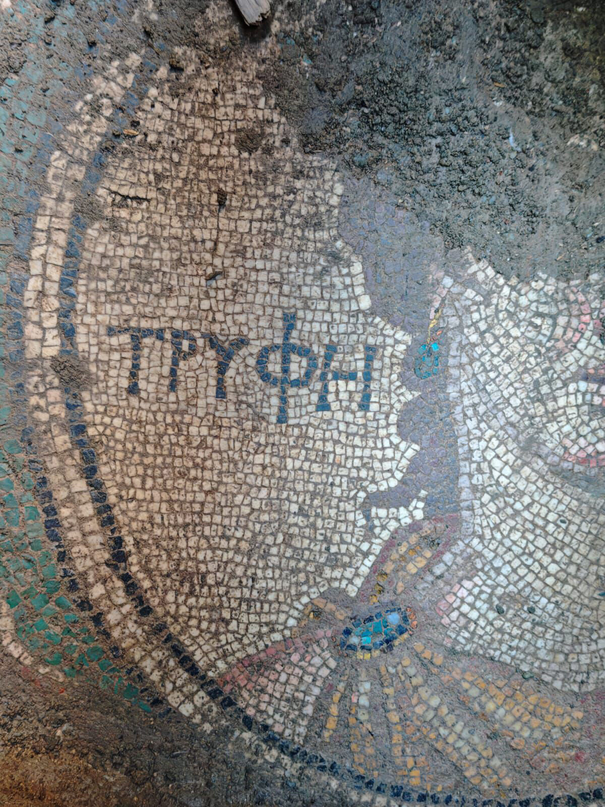 Ele geçirilen tarihi mozaiğin uzman ekipler tarafından detaylı şekilde inceleneceği öğrenildi. Öte yandan şüphelilerin, buldukları mozaiği yurt dışındaki kişilerle bağlantı kurarak satmaya çalıştıkları iddia edildi.<br>Olayla ilgili soruşturma sürüyor.<br>