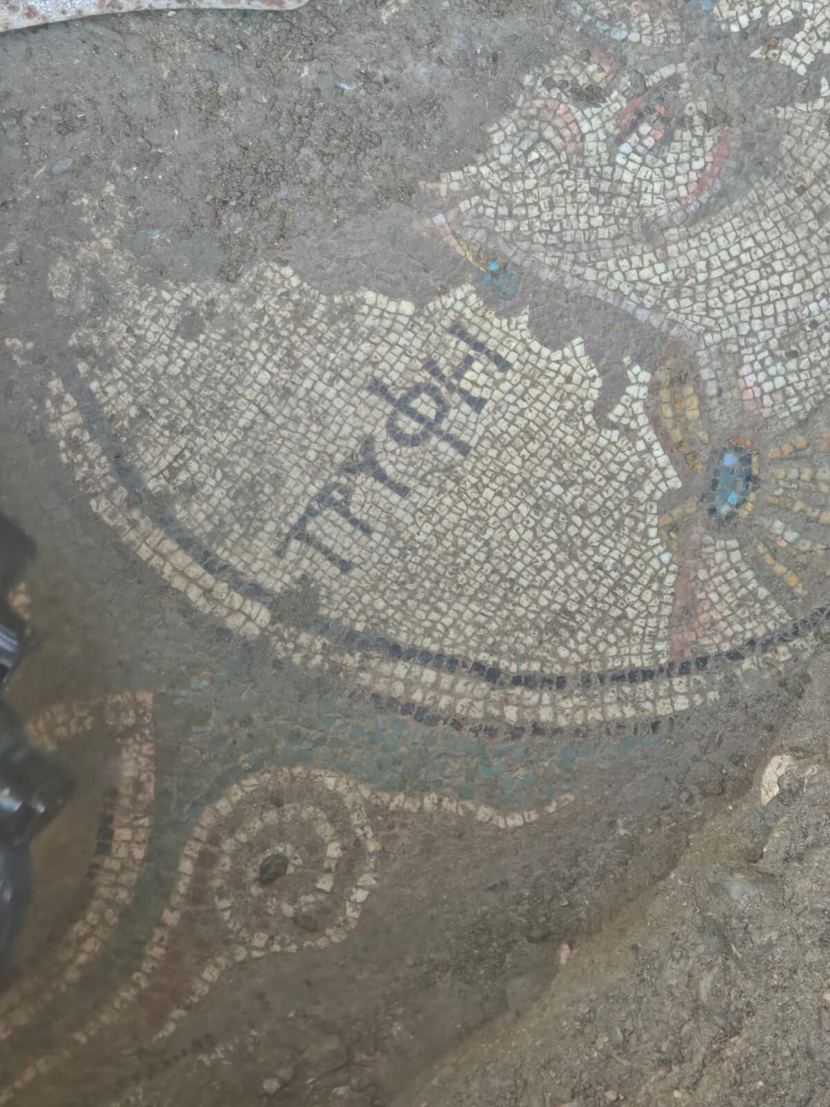 Olayla ilgili nöbetçi cumhuriyet savcısının talimatıyla Kültür ve Tabiat Varlıklarını Koruma Kanunu kapsamında adli işlem başlatıldı. F.Ş., M.Ş. ve Ş.Ş. olay yerinde, bağlantılı oldukları A.Ş. ise ikametinde gözaltına alındı.