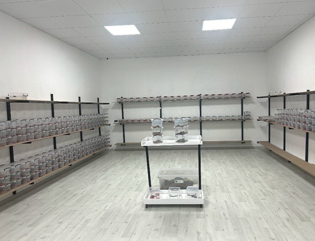 Tarım ve Orman Bakanlığı ile Doğa Koruma ve Milli Parklar Genel Müdürlüğü’nden gerekli izinleri alan Ören, gerekli Ar-Ge çalışmasını da yaptıktan sonra ocak ayında Güzelçamlı Mahallesi’nde sarı akrep ve zehir üretim tesisi kurdu.