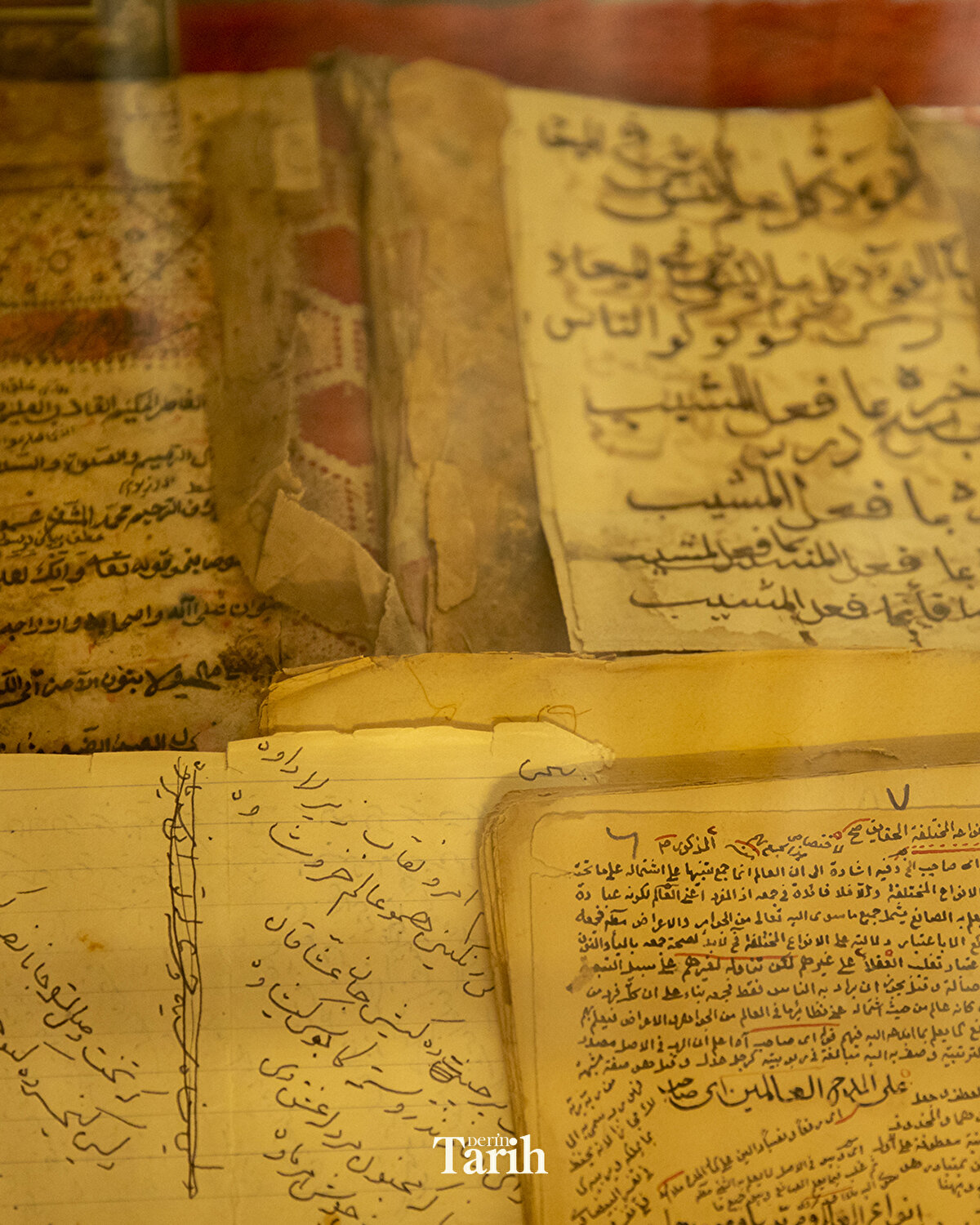 Hiran, o zamandan kalan ve korunan diğer el yazmalarının bir bölümünün ise Irak rejiminin 1987 yılında yaptığı bir bombardımanda yok olduğunu dile getirdi.