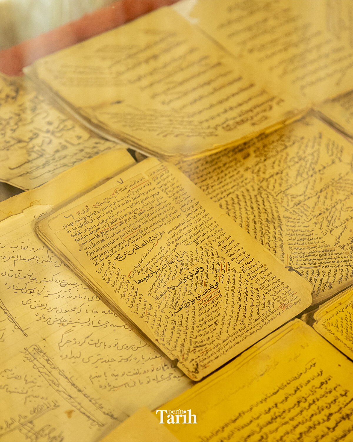 Hiran, "Osmanlı Sultanı Abdulaziz devrinde onun adına basılan birkaç kitap daha var. Bunlar da daha çok dilbilgisi, belagat ve şeriat kitapları. Bu kitap yaklaşık 170 yıl önce basılmış." diye konuştu.