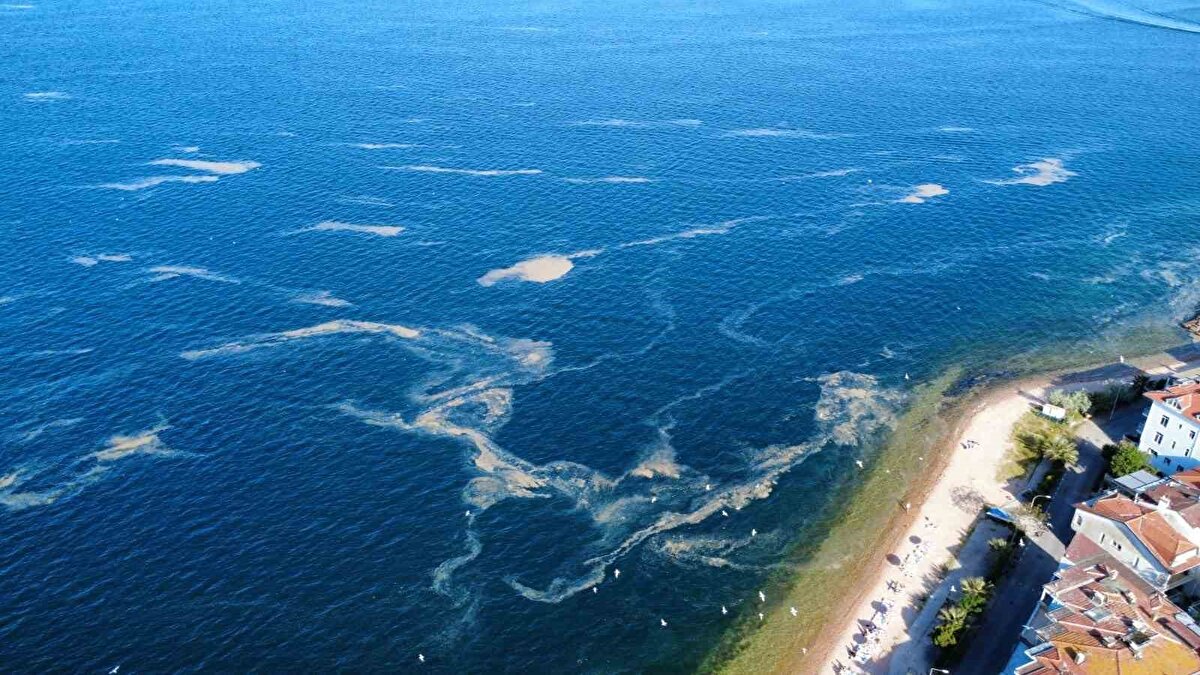 Görüntüler, bölge halkı ve turizmciler arasında tedirginliğe neden olurken, deniz ekosistemini tehdit eden müsilaj, özellikle yaz aylarında sıcaklık artışı, kirlilik ve durağan su nedeniyle oluşuyor.