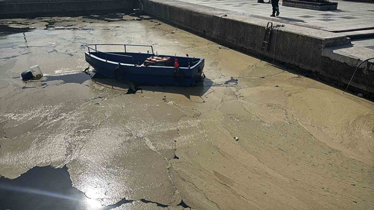Müsilajla kaplı yerleri insanlar gördükçe denize girmekten kaygı duyacaklar. Acilen 2021 yılı içinde tüm tarafların altına imza attığı, yedi ilin belediye başkanı, yedi ilin valisi ve çevre bakanı, meclis ve çevre komisyonu başkanı tarafından imzalanan Marmara Denizi Eylem Planı’nın ruhuna geri dönmemiz lazım. Marmara Denizi’nin kirlilik yükünü azaltmak zorundayız. Bir litre bile atığı arıtmadan Marmara Denizi’ne deşarj etmemeliyiz. Marmara taşıyacağı kadar yükü aldı. Daha fazlasına tahammülü yok. Acilen hiç vakit kaybetmeden tedbir almamız lazım.