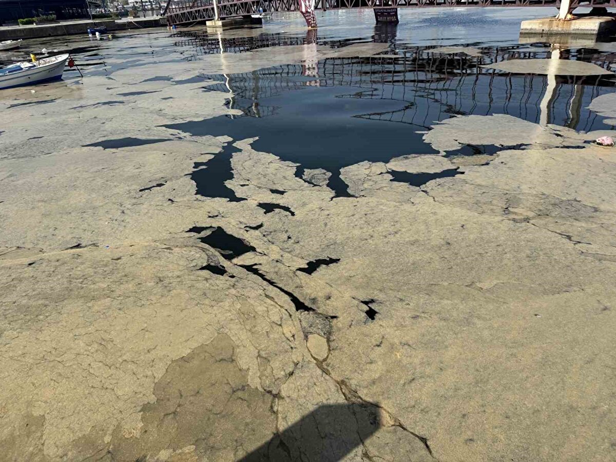 Örümcek ağı gibi Marmara Denizi’nin her tarafını sardı. Hatta Kuzey Ege’ye geçti. "Eğer tedbirleri sıkı bir şekilde alırsak yüzeye çıkma ihtimalini azaltırız, zararlarını azaltırız" dedik. Tedbirleri almadık ve artık müsilaj yüzeye çıkmaya başladı.