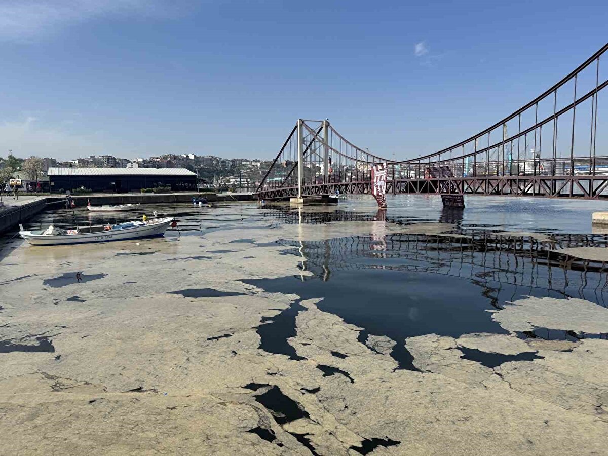 14 Santigrat dereceyi geçti Marmara Denizi yüzey sıcaklıkları. Dolayısıyla kritik sıcaklık eşiği burasıydı. Bu sıcaklıktan sonra önümüzdeki günlerde dalga olmadığı sürece rüzgar olmadığı sürece yoğun şekilde Marmara Denizi’nin her tarafında yüzeyde müsilaj göreceğiz. Çok yazık. Müsilajı sadece yüzeyde gördüğümüzde korkuyoruz. Halbuki müsilajın esas zararı yüzeye çıktığındaki değil denizin dibindeki ekosisteme verdiği zarar.<br>Denizin dibindeki pinaları, midyeleri, istiridyeleri, mercanları öldürüyor müsilaj. Üzerlerini battaniye gibi örtüyor. Deniz çayırlarının üzerini kapladı. Fotosentez yapmasını engelliyor.