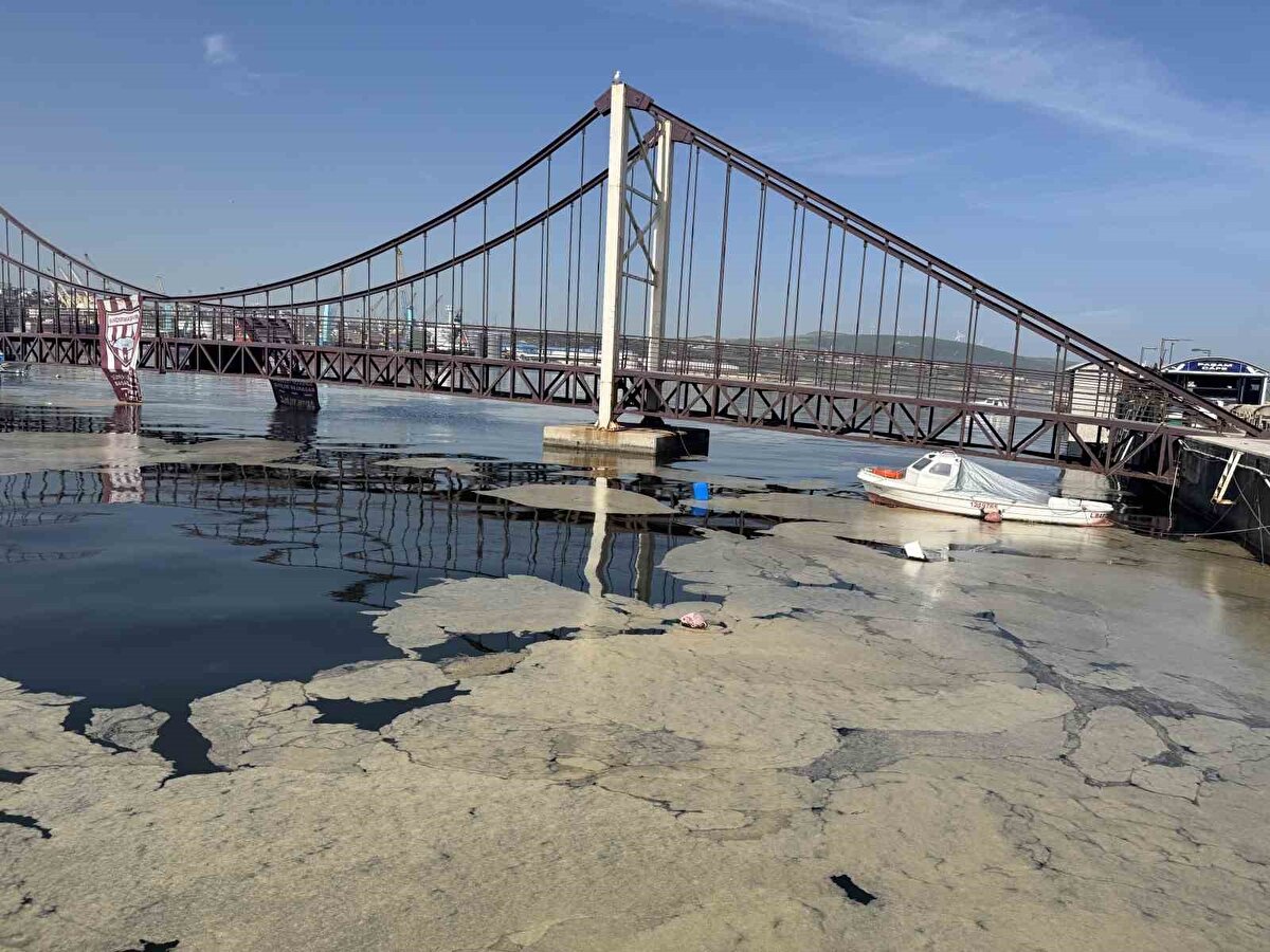 Yani oksijen üreten, bize nefes olan deniz çayırları müsilaj yüzünden şu anda zarar görüyor. Ama altı aydır zaten balıkçılık çok etkilendi Marmara Denizi’nde. Şimdi yüzeye çıkmaya başlamasıyla birlikte turizm etkilenmeye başlayacak.
