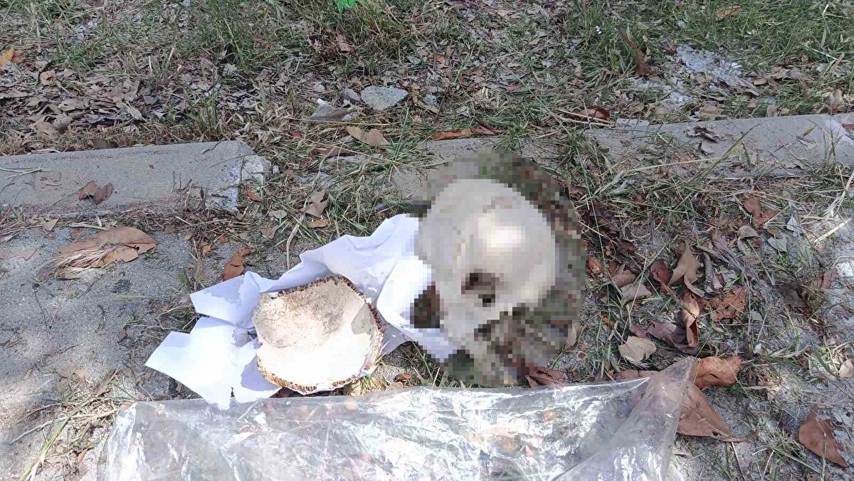 Olay yeri ekiplerinin yaptığı ilk incelemede kafatasının bir çocuğa ait olabileceği değerlendirildi. 