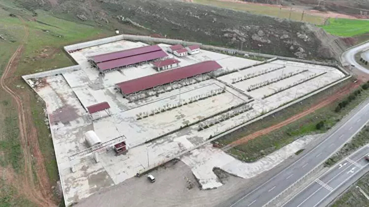 Öte yandan geçen yıla göre yüzde 100’ün üzerinde artan yem, saman, nakliye, yer kirası ve çoban ücretini aynı oranda satış fiyatlarına yansıtamadıklarını belirten besiciler, büyükbaş ve küçükbaş kurbanlık fiyatlarında geçen yıla kıyasla yüzde 30 ila 35 arasında artış meydana geldiğini söyledi.<br><br>