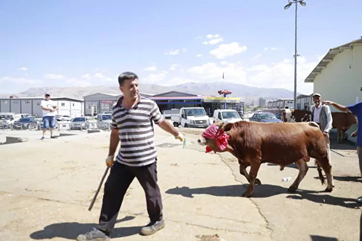 Et ve Süt Kurumu tarafından belirlenen 2025 yılı kurbanlık kilo fiyatları ise belli oldu. Diyanet İşleri Başkanı Ali Erbaş'tan vekaletle kurban kesim bedellerine ilişkin duyuru ve Ziraat Odaları Birliği'nden de açıklama geldi.