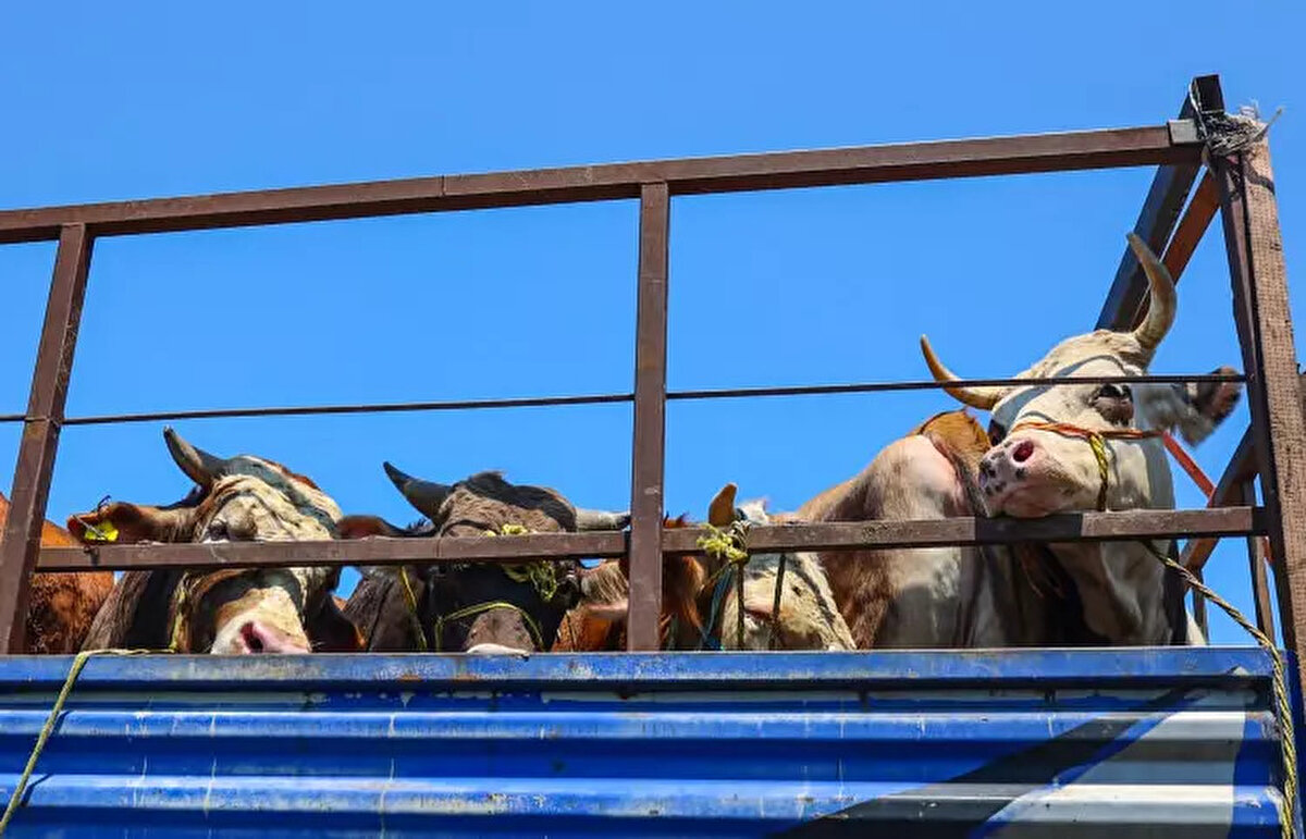 Kurban Bayramı bu yıl 5 Haziran Perşembe gününe denk gelen arife gününün ardından 6 Haziran Cuma günü başlıyor.<br><br>Dört gün sürecek olan bayramın son günü ise 9 Haziran Pazartesi gününe denk geliyor.