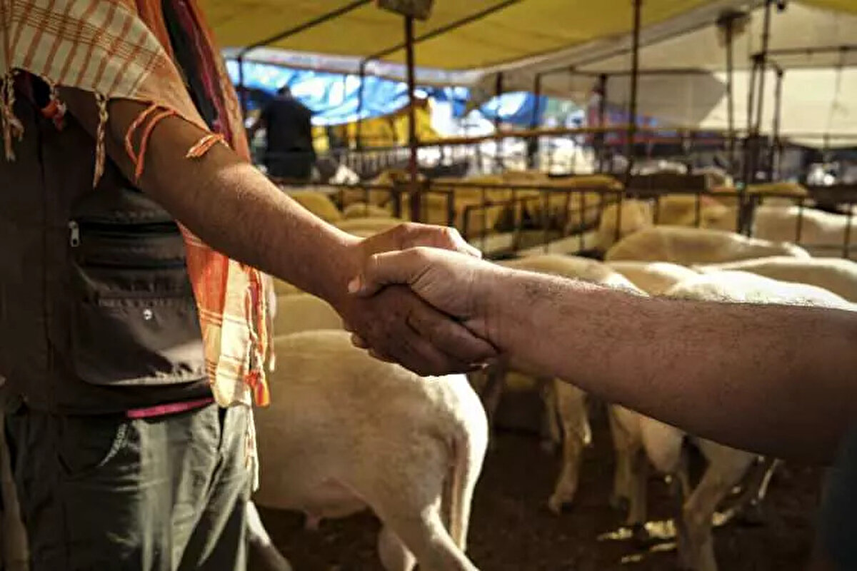 2025 Kızılay Kurban Bedeli <br><br> <br><br> <br><br>Kızılay tarafından duyurulan 2025 yılı kurban bedel fiyatı ise yurt içi ve Gazze-Filistin için 13 bin 250 lira olarak belirlenirken; yurt dışı için 5 bin 250 lira olarak belirlendi.