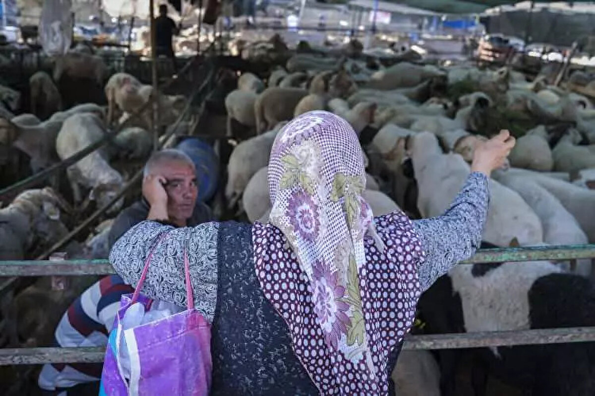 Diyanet Açıkladı: Vekaletle Kurban Kesim Bedeli Ne Kadar?