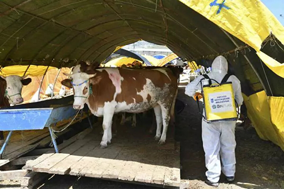 Kurbanlık Kilo (KG) Fiyatları Ne Kadar?<br><br> <br><br><br>Et ve Süt Kurumu tarafından duyurulan 2025 kurbanlık alım fiyatları; <br><br>Canlı kuzu kilo fiyatı 280 ila 330 TL,<br><br>Canlı toklu kilo fiyatı 280 ila 290 TL,<br><br>Canlı koyun kilo fiyatı 270 ila 280 TL,<br><br>Canlı oğlak kilo fiyatı 160 ila 215 TL,