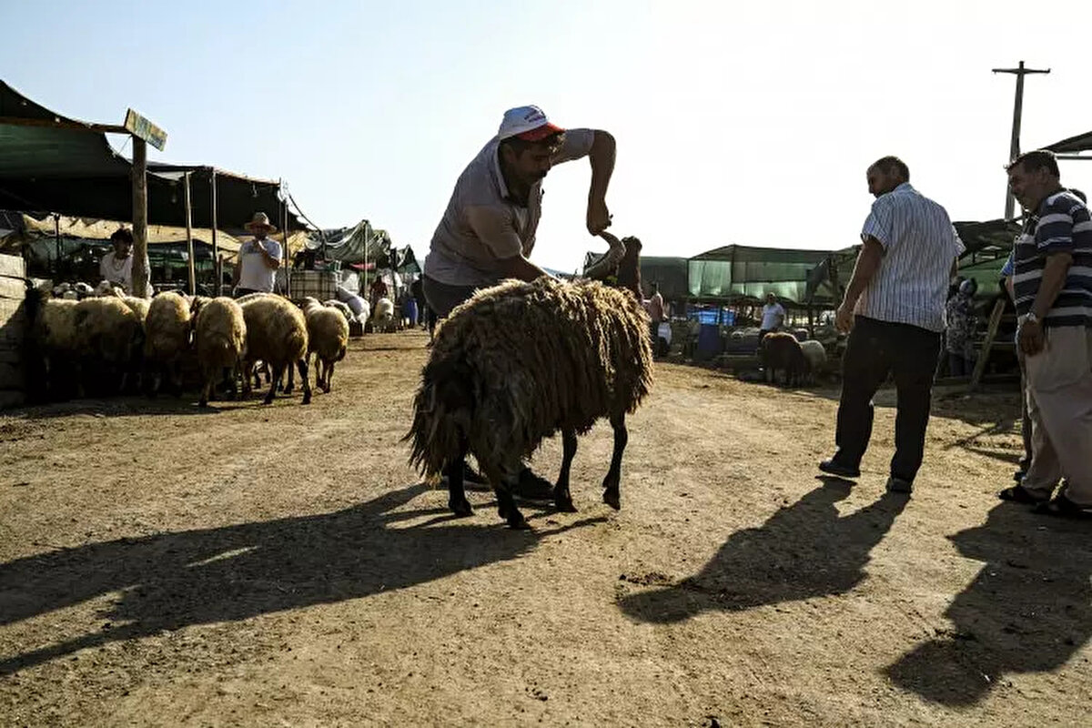 Diyanet İşleri Başkanı Ali Erbaş yaptığı açıklamada, 'Bu yıl için vekâletle kurban kesim bedeli yurt içinde 13 bin 500, yurt dışında 5 bin 450 lira olarak belirlenmiştir.' dedi.
